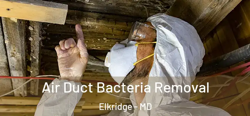  Air Duct Bacteria Removal Elkridge - MD