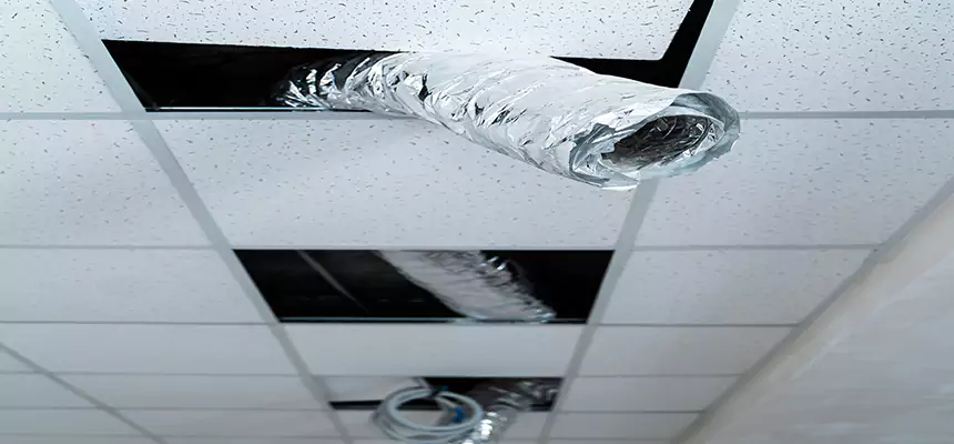 Our Air Duct Pet Hair Removal Services in Elkridge, MD