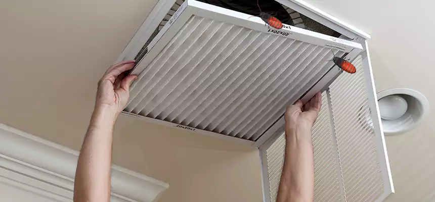 Our Insect Removal from Air Ducts Services in Elkridge, MD