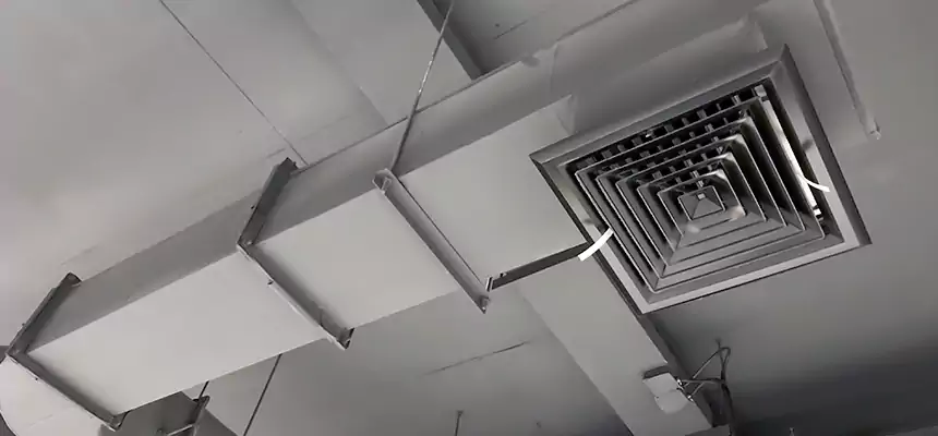 Our Pest Removal From Ducts Services in Elkridge, MD