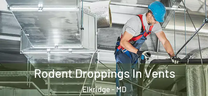  Rodent Droppings In Vents Elkridge - MD