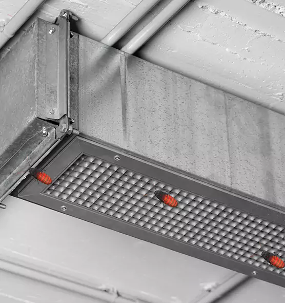 About Air Duct Cockroach Removal in Elkridge, MD