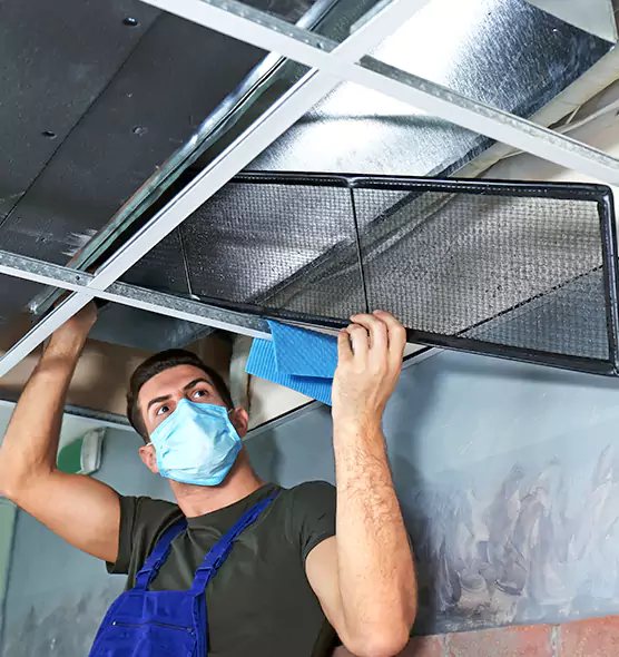 Professional Air Duct Pollen Cleaning in Elkridge, MD