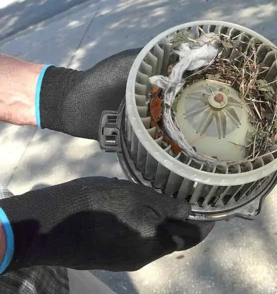 About Air Duct Rat Removal in Elkridge, MD