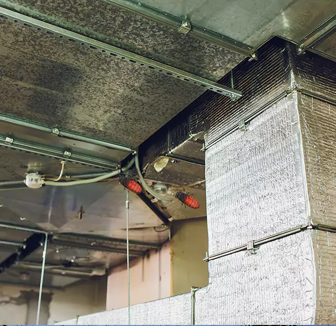 Why Homeowners & Businesses Trust Us in Elkridge, MD?