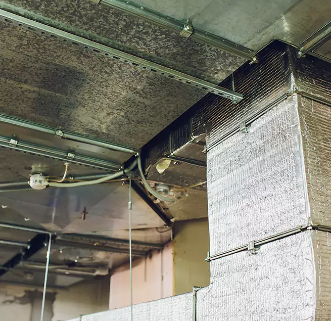 Why Homeowners & Businesses Trust Us in Elkridge, MD?